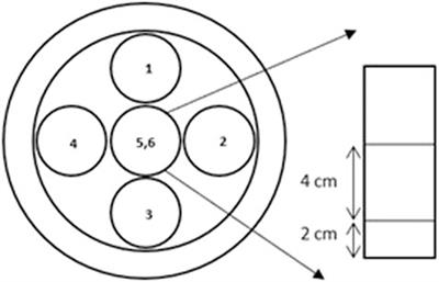 Sub-background radiation exposure at the LNGS underground laboratory: dosimetric characterization of the external and underground facilities